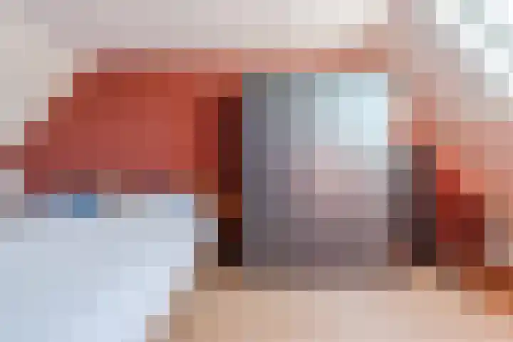 Boerhoorn 9 Vries thumbnail 23