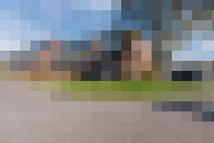 Boerhoorn 9 Vries thumbnail 37