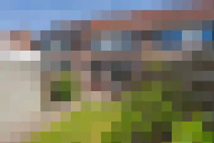 Boerhoorndreef 137 in Assen