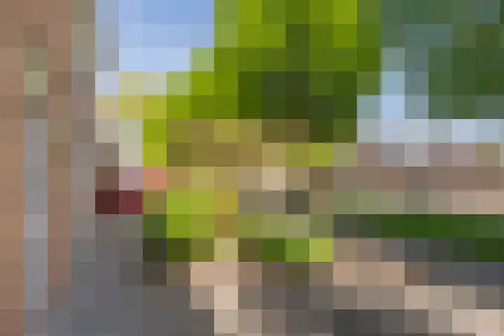 Boerhoorndreef 137 Assen thumbnail 10