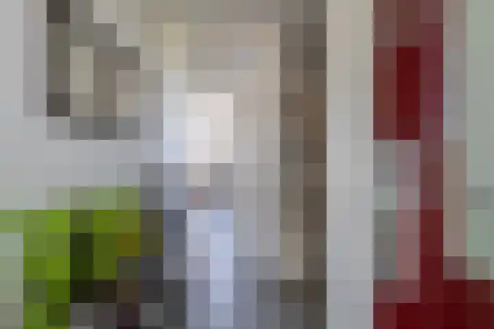 Boerhoorndreef 137 Assen thumbnail 11