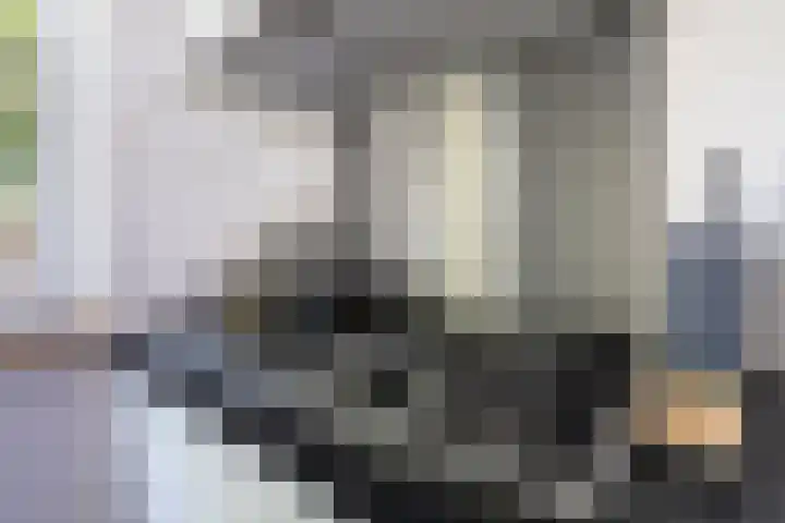 Boerhoorndreef 137 Assen thumbnail 17