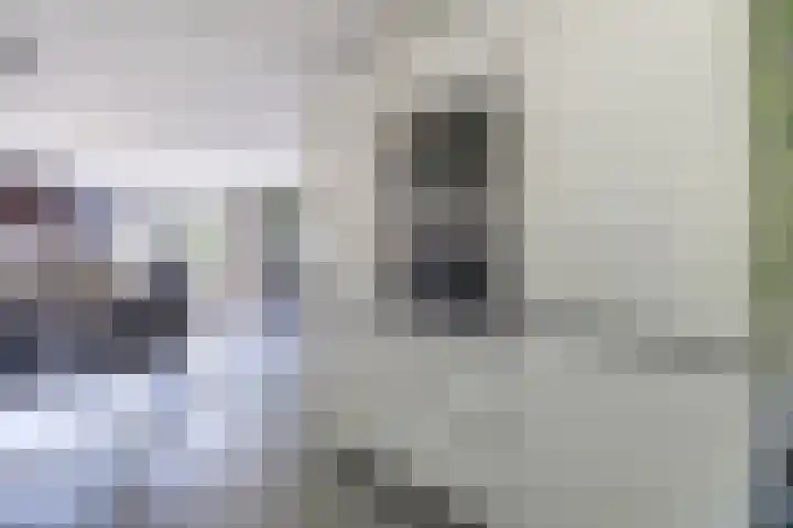 Boerhoorndreef 137 Assen thumbnail 18