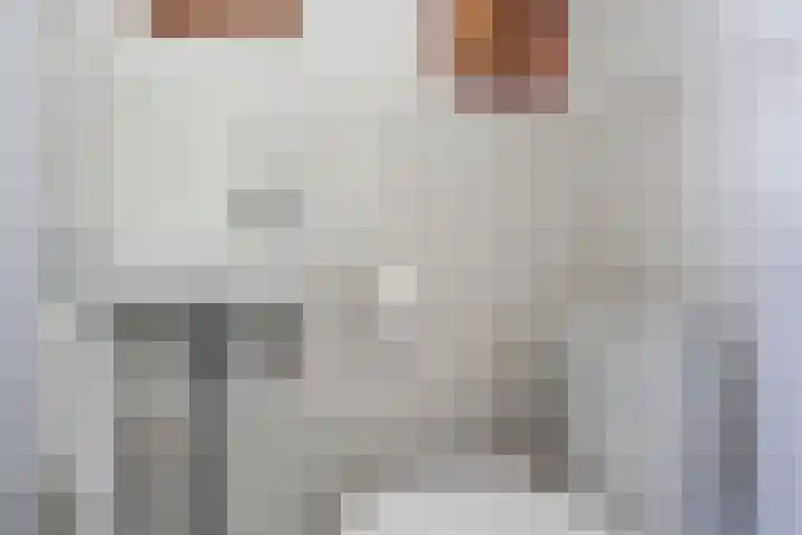 Boerhoorndreef 137 Assen thumbnail 19