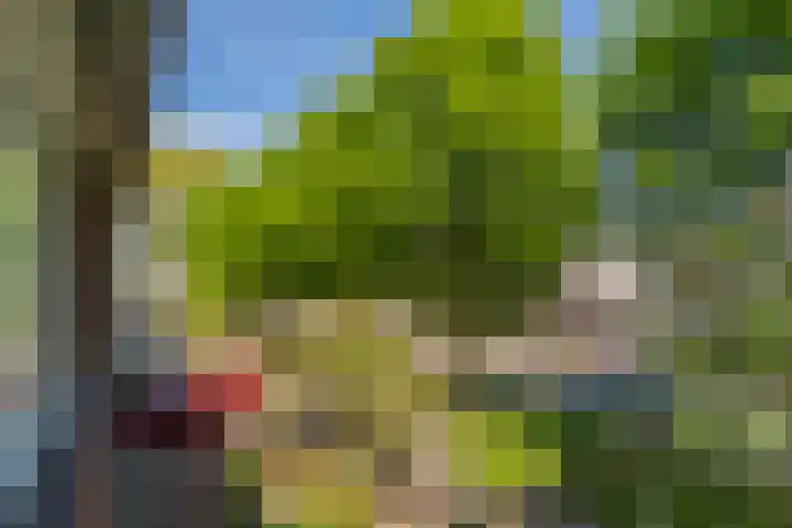 Boerhoorndreef 137 Assen thumbnail 22