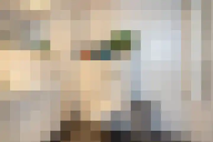 Boerhoorndreef 137 Assen thumbnail 24