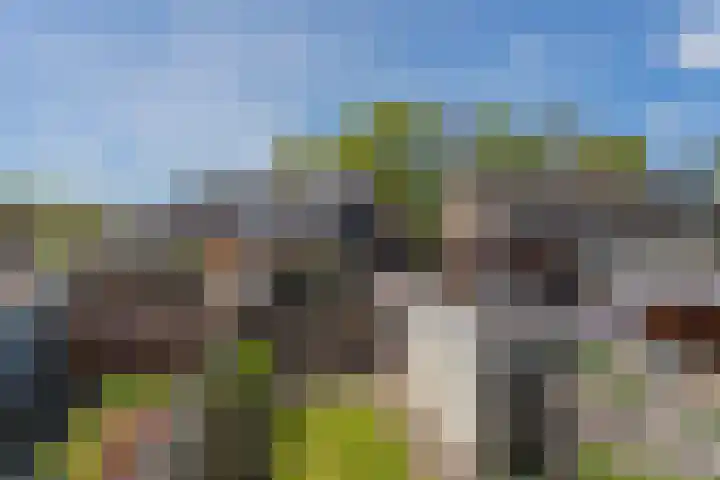 Boerhoorndreef 137 Assen thumbnail 27