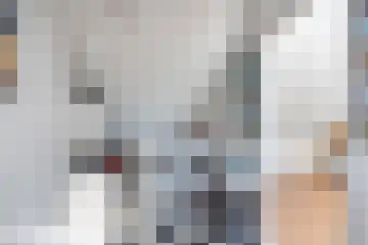 Boerhoorndreef 137 Assen thumbnail 29