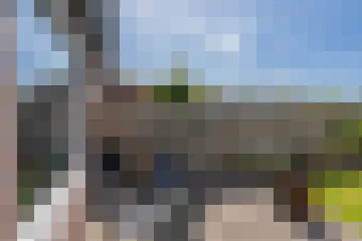 Boerhoorndreef 137 Assen thumbnail 31