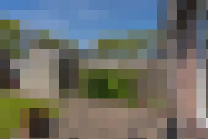 Boerhoorndreef 137 Assen thumbnail 32