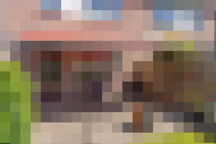 Boerhoorndreef 137 Assen thumbnail 36