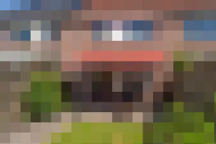 Boerhoorndreef 137 Assen thumbnail 37