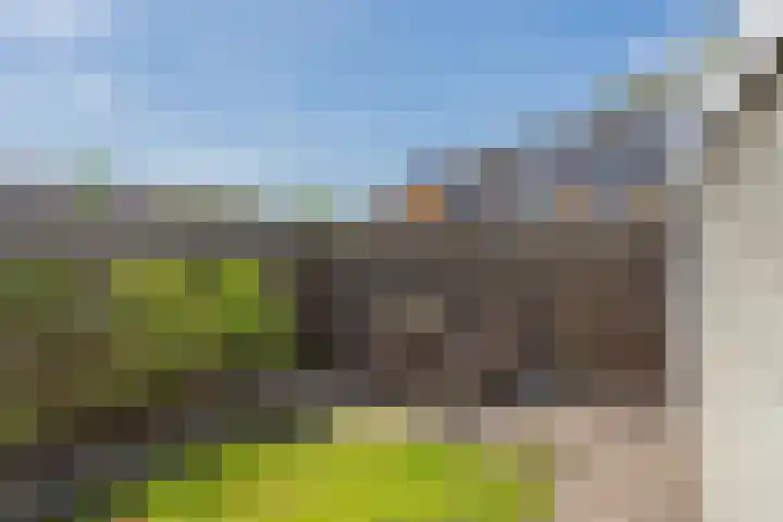 Boerhoorndreef 137 Assen thumbnail 38