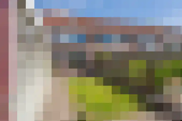 Boerhoorndreef 137 Assen thumbnail 40