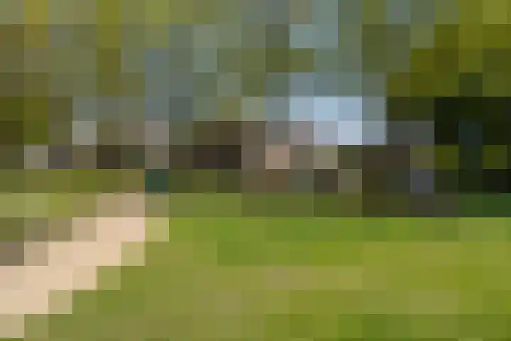 Boerhoorndreef 137 Assen thumbnail 42