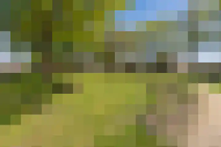 Boerhoorndreef 137 Assen thumbnail 43