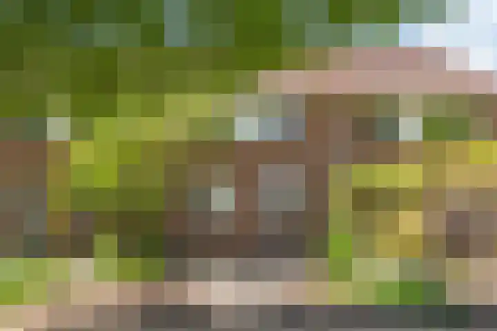 Boerhoorndreef 137 Assen thumbnail 6