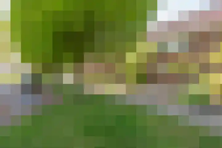 Boerhoorndreef 137 Assen thumbnail 7