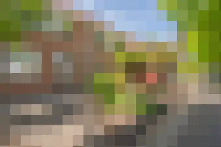 Boerhoorndreef 137 Assen thumbnail 8