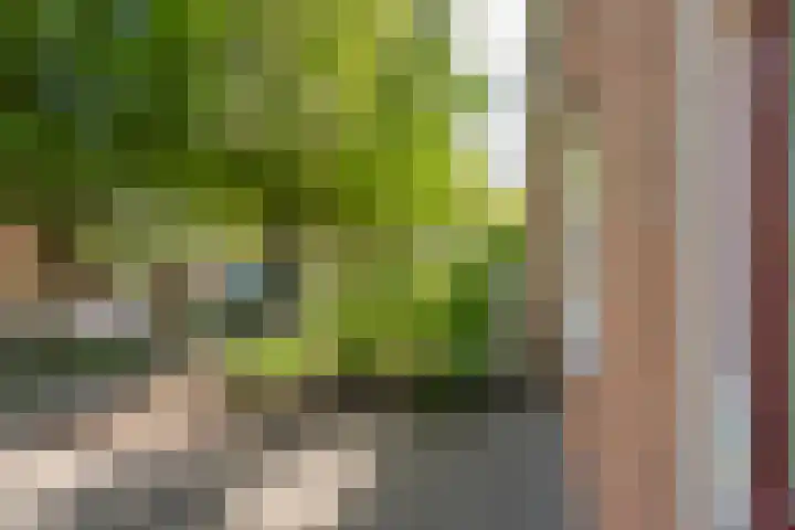 Boerhoorndreef 137 Assen thumbnail 9