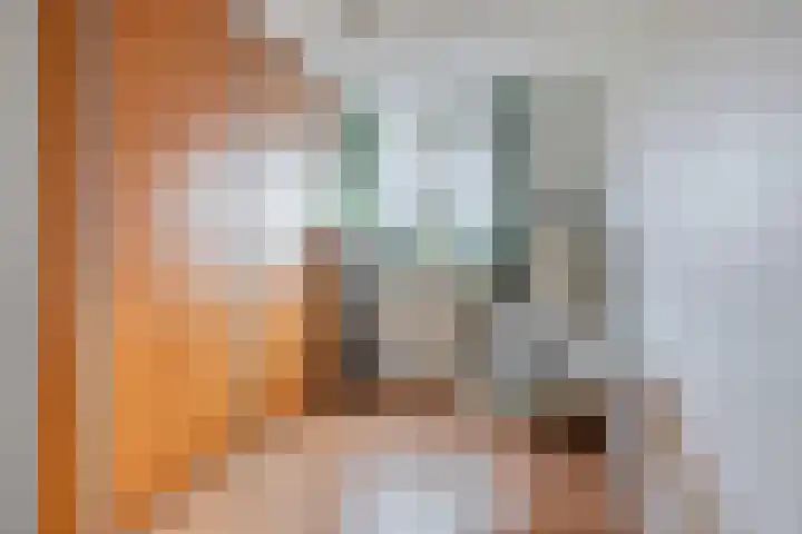 Boerhoorndreef 140 Assen thumbnail 26