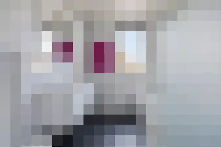 Boerhoorndreef 140 Assen thumbnail 28