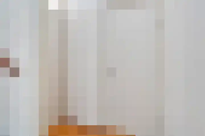 Boerhoorndreef 140 Assen thumbnail 30