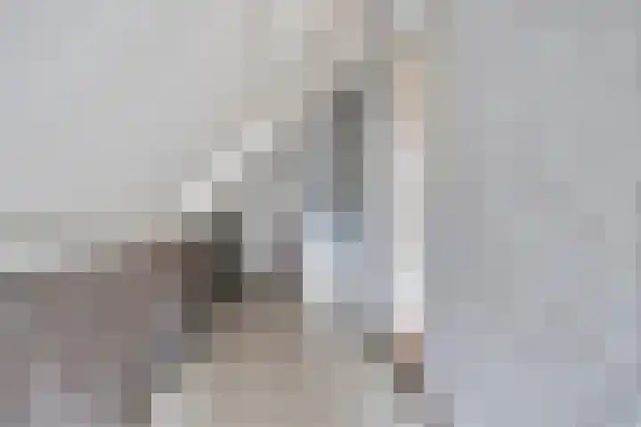 Boerhoorndreef 140 Assen thumbnail 31