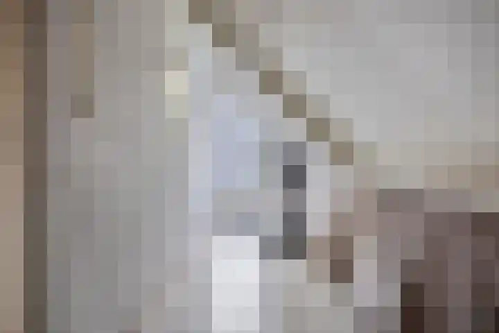 Boerhoorndreef 140 Assen thumbnail 32