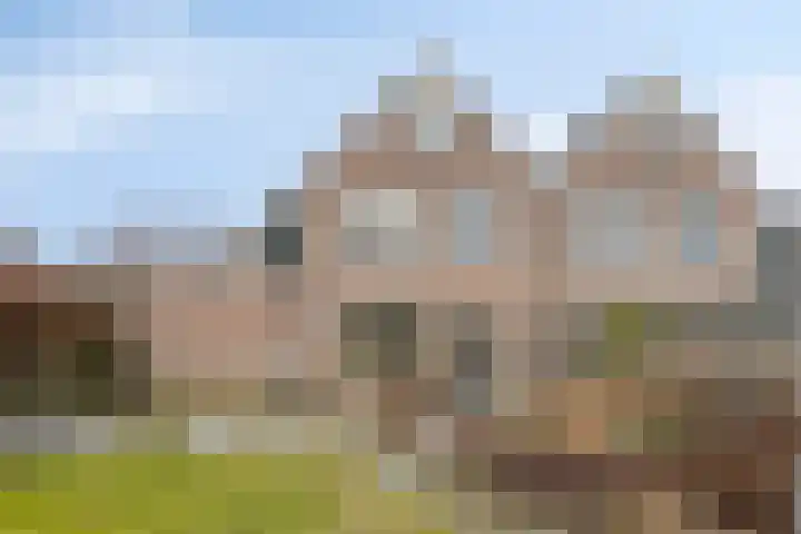 Boerhoorndreef 140 Assen thumbnail 41