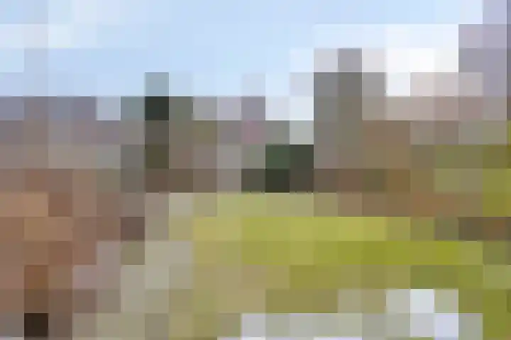 Boerhoorndreef 140 Assen thumbnail 44