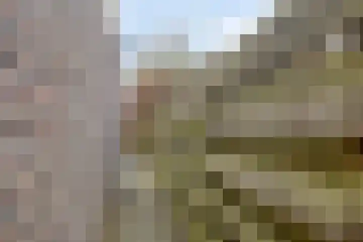 Boerhoorndreef 140 Assen thumbnail 45