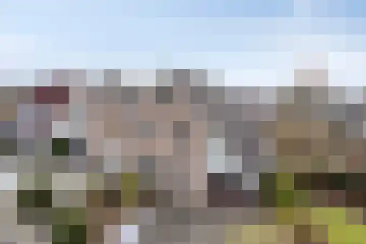 Boerhoorndreef 140 Assen thumbnail 46