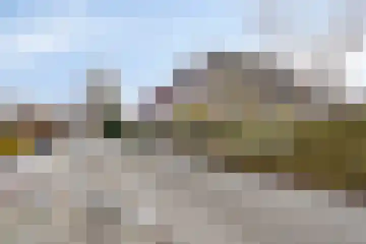 Boerhoorndreef 140 Assen thumbnail 49