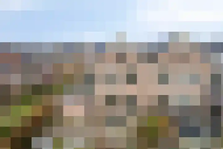 Boerhoorndreef 140 Assen thumbnail 5