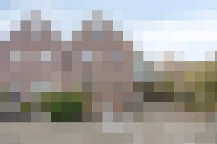 Boerhoorndreef 140 Assen thumbnail 6