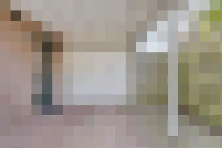 Boerhoorndreef 140 Assen thumbnail 7