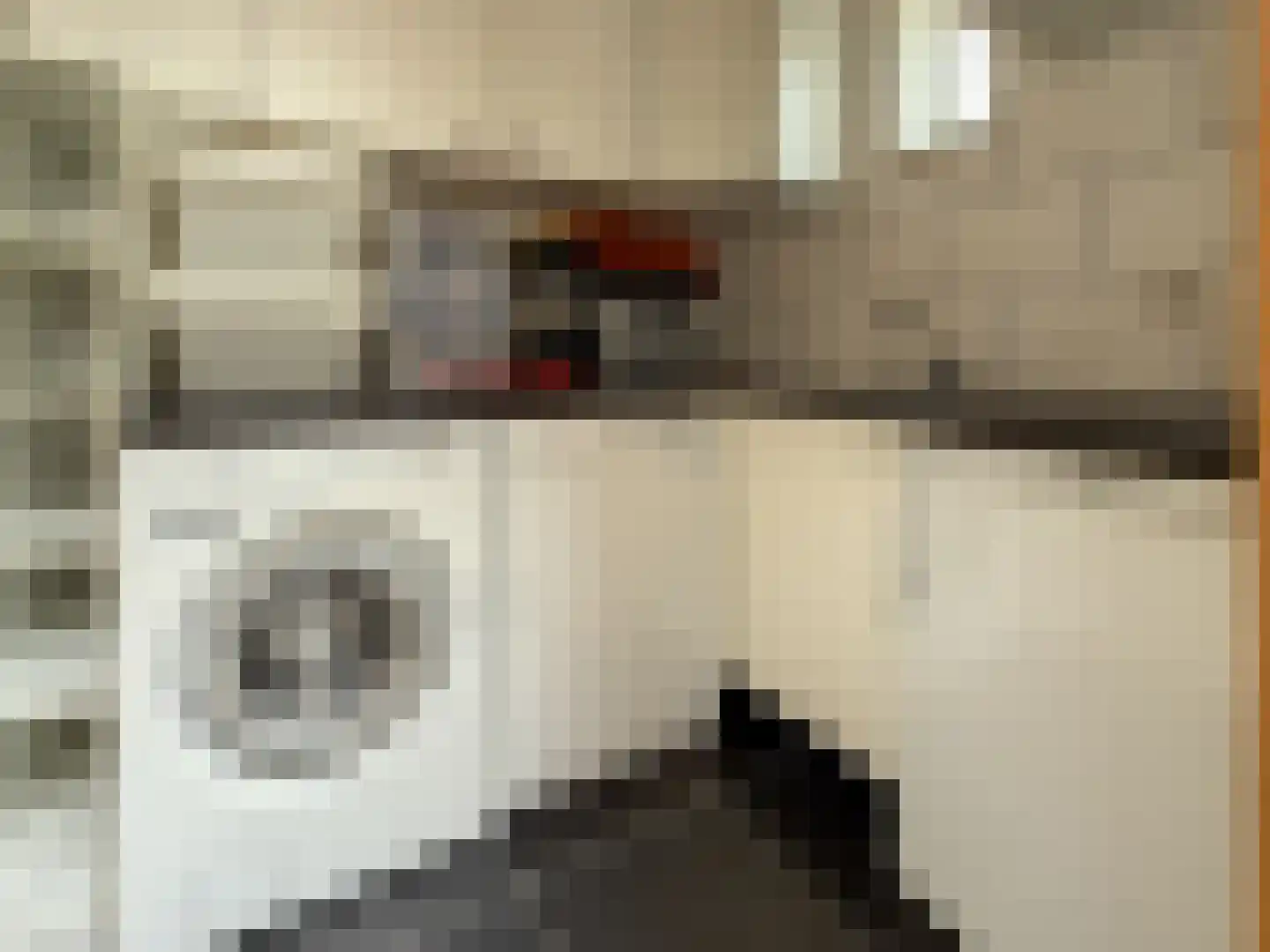 Boerhoorndreef 143 Assen thumbnail 10