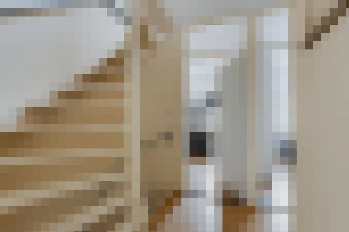 Boerhoorndreef 143 Assen thumbnail 12