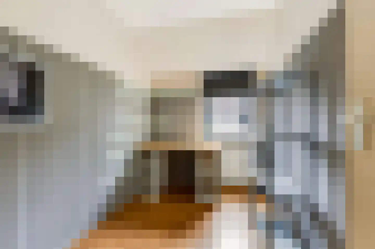 Boerhoorndreef 143 Assen thumbnail 14