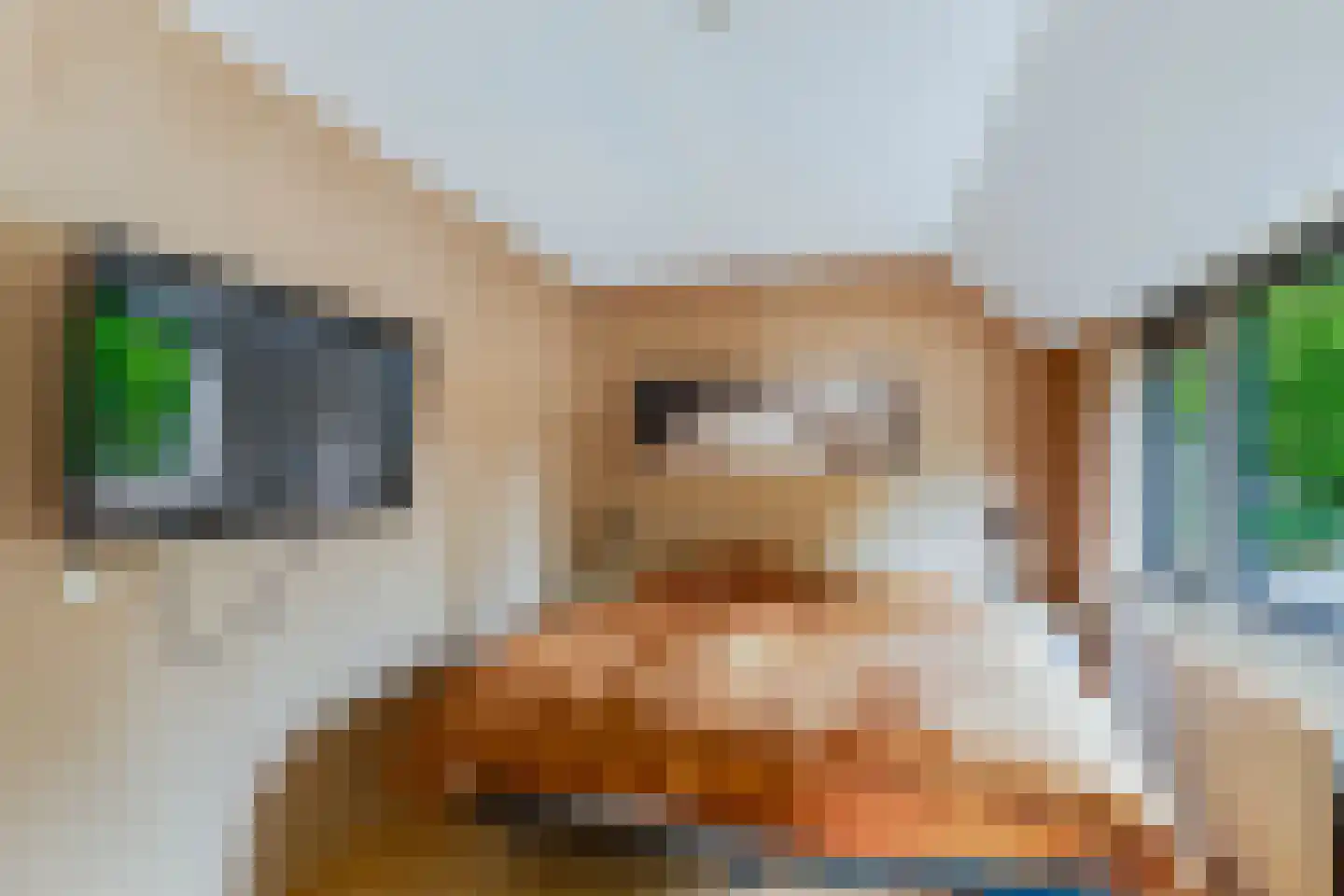 Boerhoorndreef 143 Assen thumbnail 15