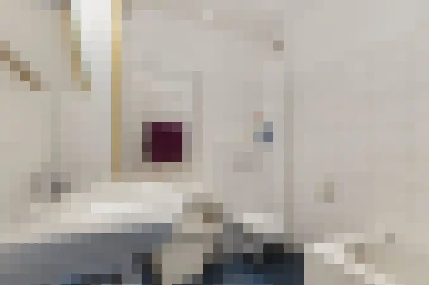Boerhoorndreef 143 Assen thumbnail 18