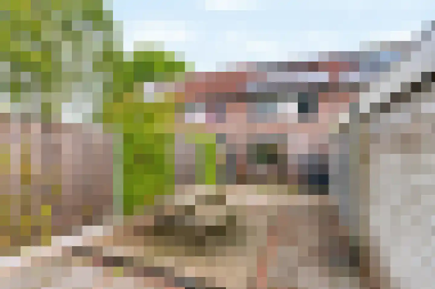 Boerhoorndreef 143 Assen thumbnail 21