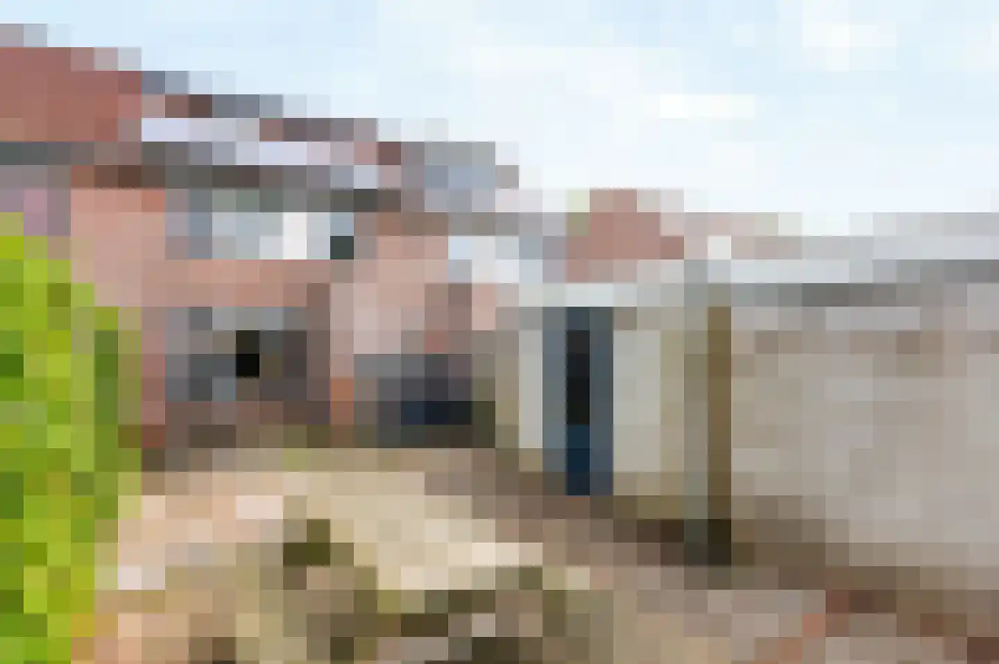 Boerhoorndreef 143 Assen thumbnail 22
