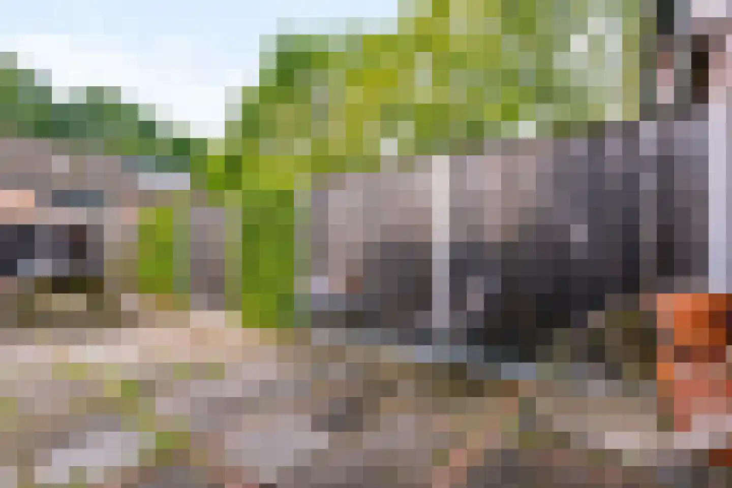Boerhoorndreef 143 Assen thumbnail 23