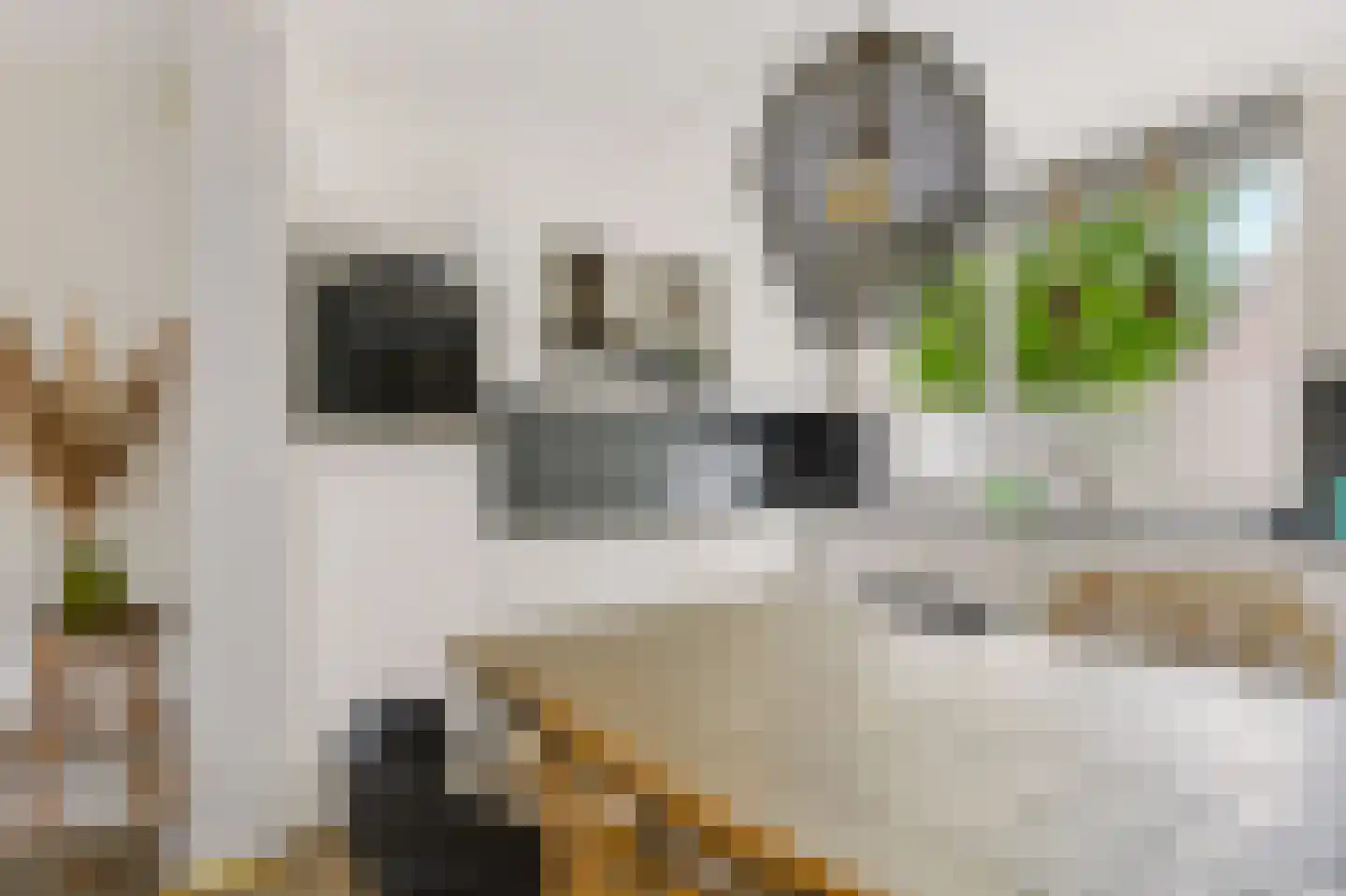 Boerhoorndreef 143 Assen thumbnail 7