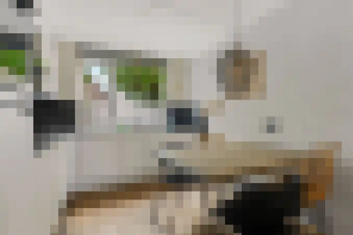 Boerhoorndreef 143 Assen thumbnail 8