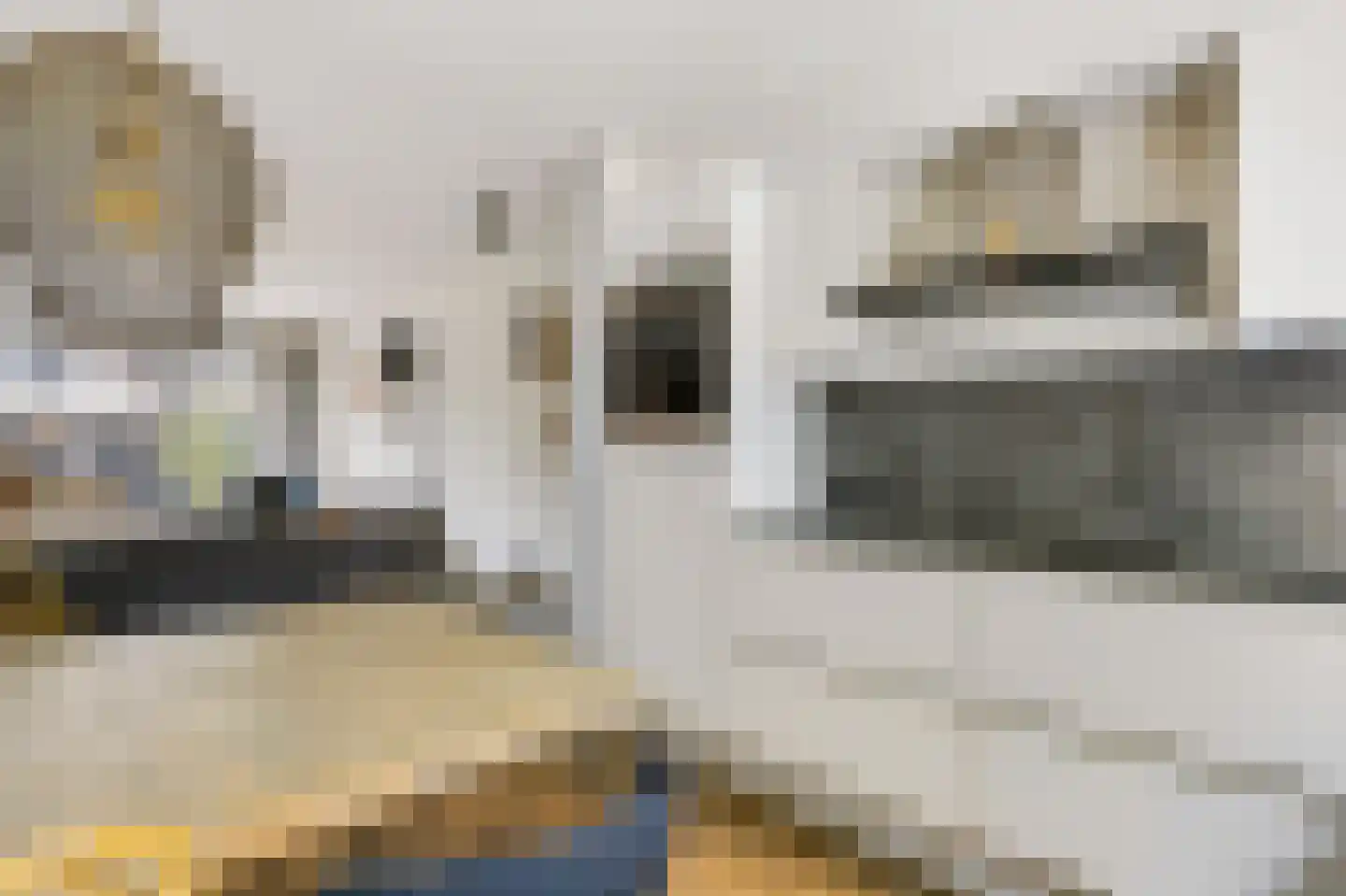 Boerhoorndreef 143 Assen thumbnail 9