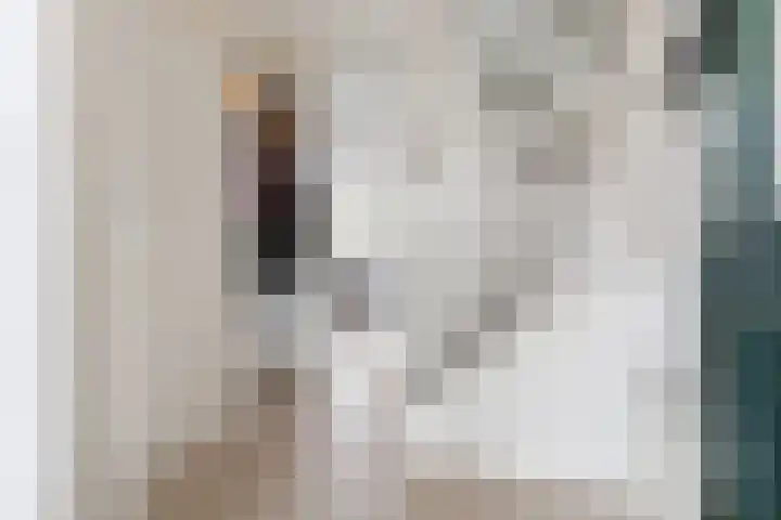 Boerhoorndreef 76 Assen thumbnail 10