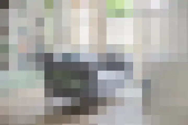 Boerhoorndreef 76 Assen thumbnail 11